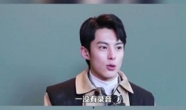 圈内爆料王鹤棣,揭秘娱乐圈新晋小生的崛起之路